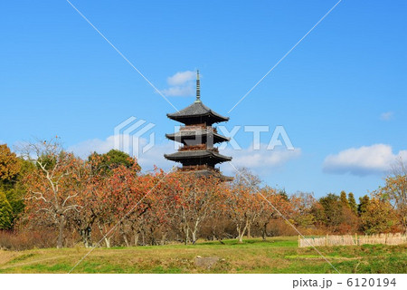 秋の備中国分寺 6120194