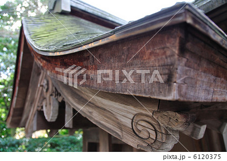 杮葺き 杮葺き 6120375