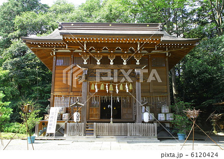足利公園 八雲神社 本殿(拝殿)-足利にて 足利公園 八雲神社 本殿(拝殿)-足利にて 6120424