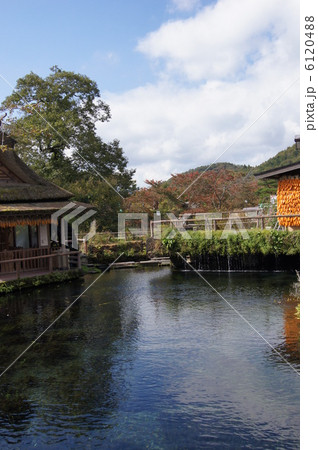 忍野八海 水車小屋 忍野八海 水車小屋 6120488