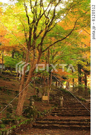 秋の京都丹波笹山高源寺 6120512