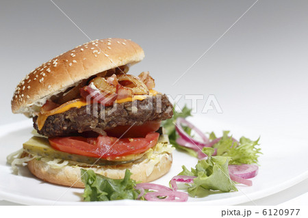 sandwich with cutlet on the plate sandwich with cutlet on the plate 6120977