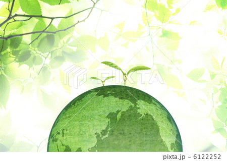 エコイメージ 6122252