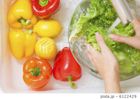 野菜を洗う女性の手元 野菜を洗う女性の手元 6122429