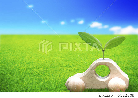 エコイメージ エコイメージ 6122609