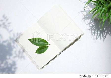 デスクに置かれた本と葉っぱ 6122746
