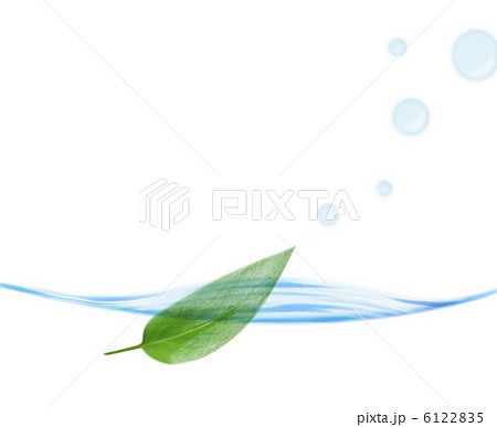 葉っぱと水面 6122835