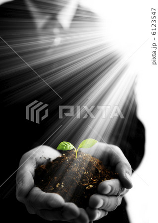 双葉を持ったビジネスマン 6123547