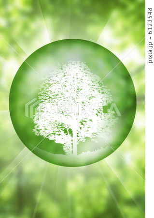 エコイメージ 6123548