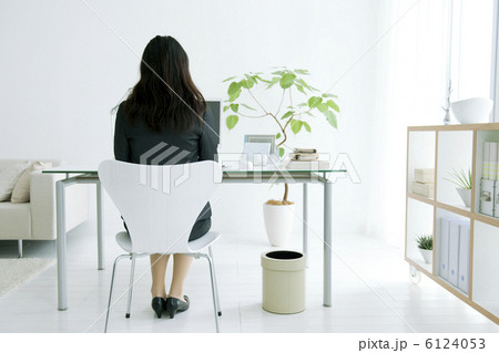 SOHOで働くビジネスウーマン SOHOで働くビジネスウーマン 6124053