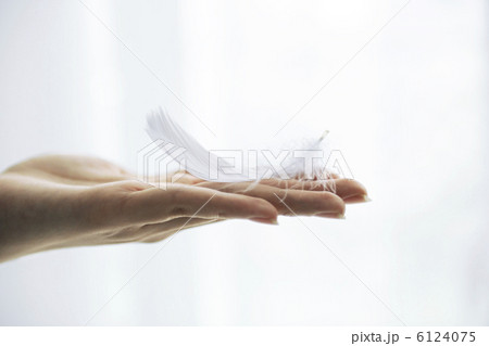 羽を持つ女性の手 羽を持つ女性の手 6124075