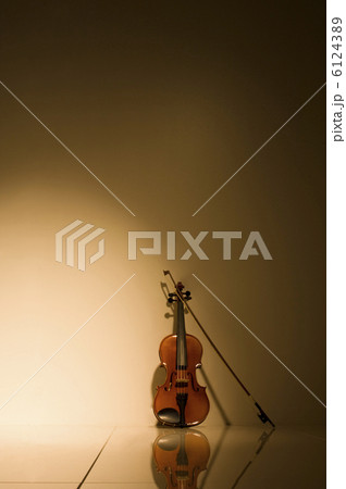 バイオリン バイオリン 6124389