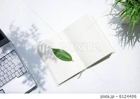 デスクに置かれた本と葉っぱ デスクに置かれた本と葉っぱ 6124406