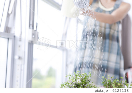 ハーブに水をあげる女性 ハーブに水をあげる女性 6125138