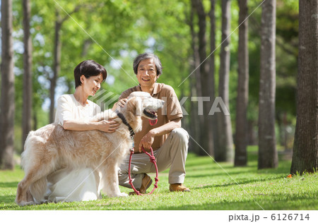 犬と戯れる中高年夫婦の写真素材