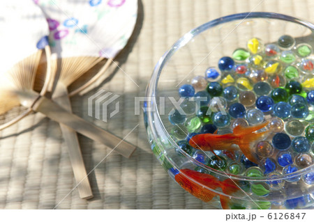 金魚とうちわ 金魚とうちわ 6126847