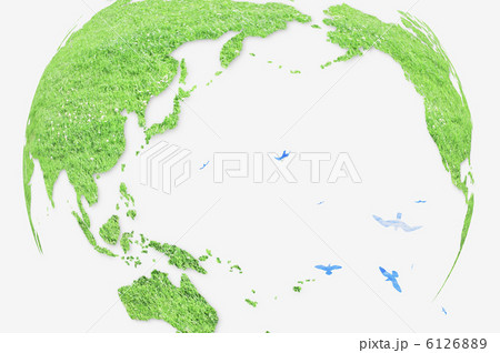 地球の芝生と鳥 6126889