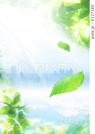 エコイメージ 6127160