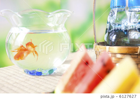 金魚鉢で泳ぐ金魚 金魚鉢で泳ぐ金魚 6127627
