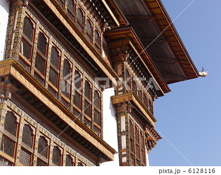 プナカ・ゾン 6128116