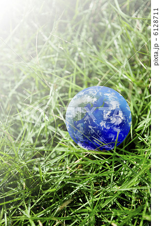 エコイメージ 6128711