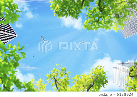 エコイメージ 6128924