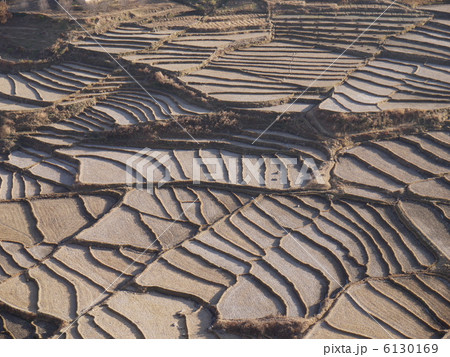 パロの棚田 6130169