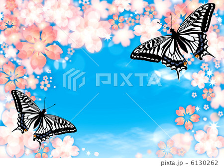 桜とアゲハ 6130262