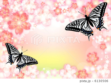 アゲハと桜 アゲハと桜 6130506