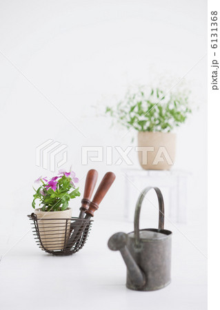 ガーデニングイメージ 6131368