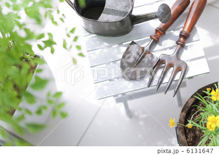 ガーデニングイメージ 6131647
