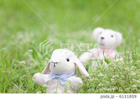 芝生の上のぬいぐるみ 6131809