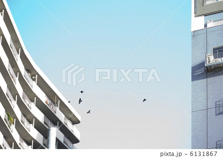 団地のある町並み 6131867