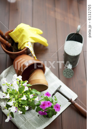 ガーデニングイメージ 6132705