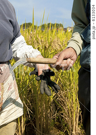 鎌を持つ農夫と手袋を持つ農婦 6133034