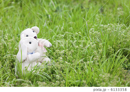 芝生の上のぬいぐるみ 6133358
