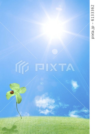 てんとう虫がとまっているクローバーと日差し てんとう虫がとまっているクローバーと日差し 6133362