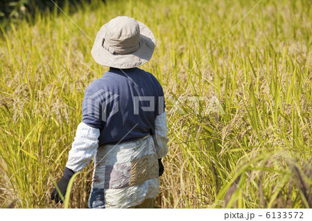 農家の女性と田んぼ 6133572
