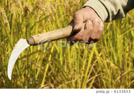 鎌を持つ農夫の手元 6133653