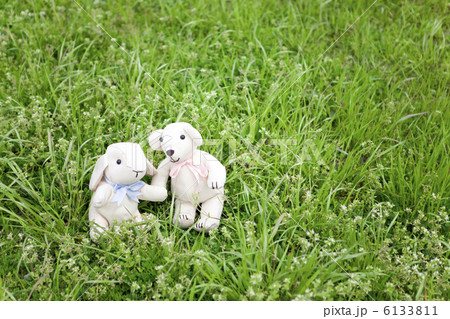 芝生の上のぬいぐるみ 6133811