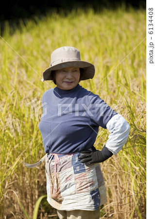 農家の女性と田んぼ 農家の女性と田んぼ 6134408