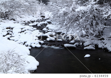 雪 6134459