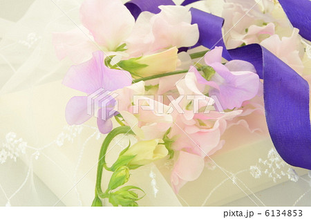 スイトピー スイトピー 6134853