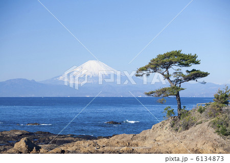 立石公園の松と富士山 6134873