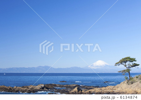 立石公園の松と富士山 6134874