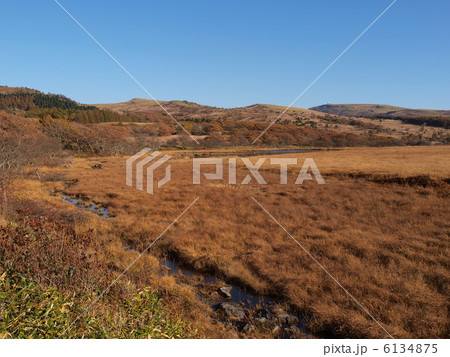 霧ヶ峰・八島ヶ原湿原 6134875
