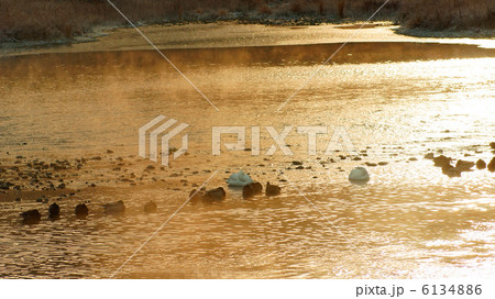 信州の朝 6134886