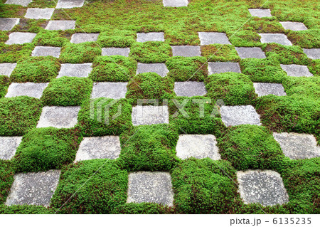 東福寺 八相の庭 北庭 東福寺 八相の庭 北庭 6135235