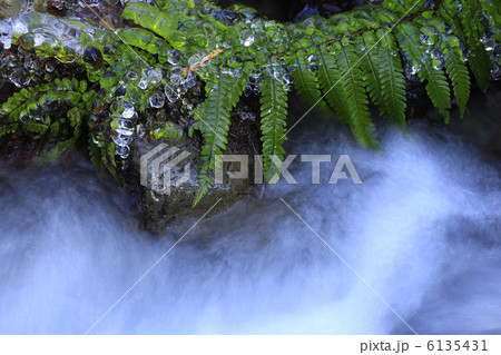 凍る冬の渓流 6135431