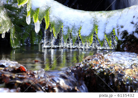 凍る冬の渓流 凍る冬の渓流 6135432